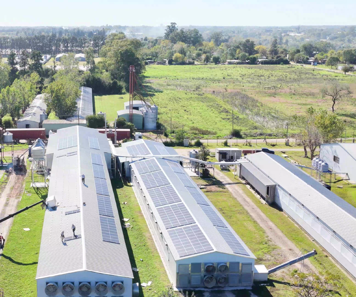 paneles_solares_ecotech_la_plata